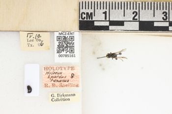 Media type: image;   Entomology 785161 Aspect: labels